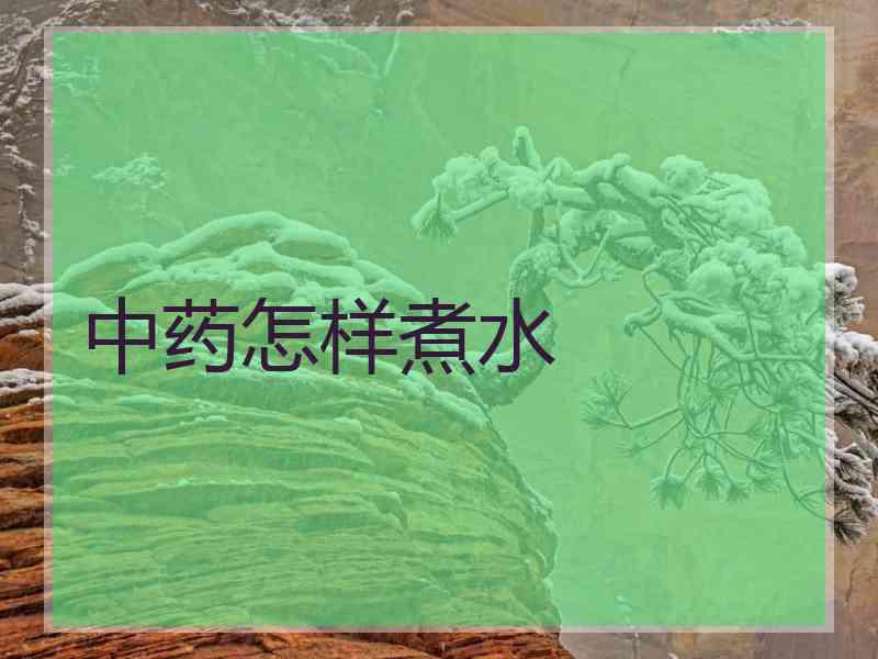中药怎样煮水