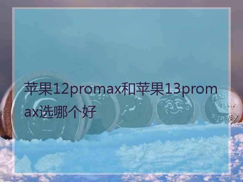 苹果12promax和苹果13promax选哪个好