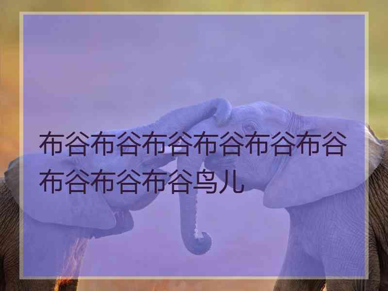 布谷布谷布谷布谷布谷布谷布谷布谷布谷鸟儿