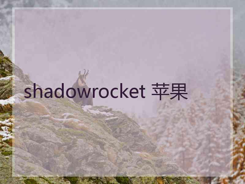 shadowrocket 苹果