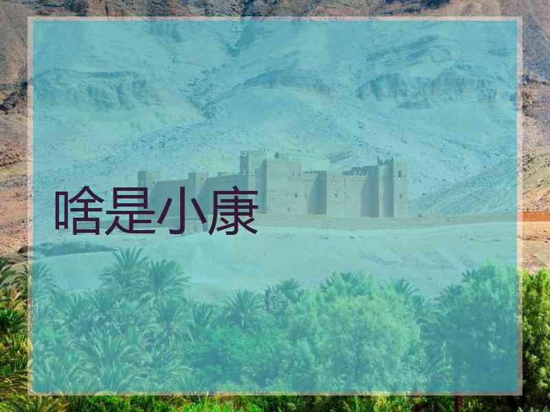 啥是小康