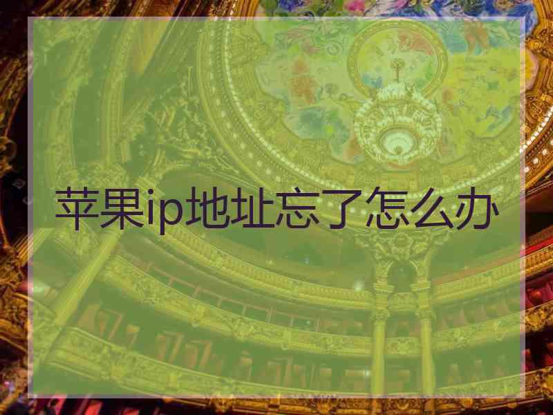 苹果ip地址忘了怎么办