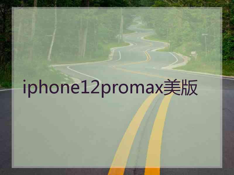 iphone12promax美版