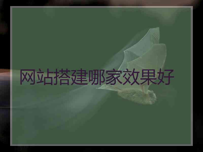 网站搭建哪家效果好