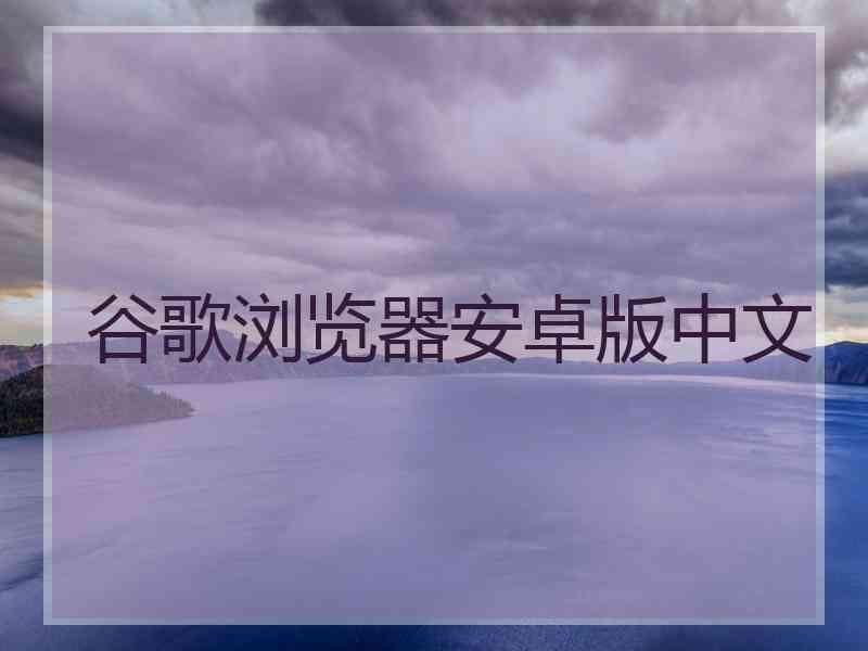 谷歌浏览器安卓版中文