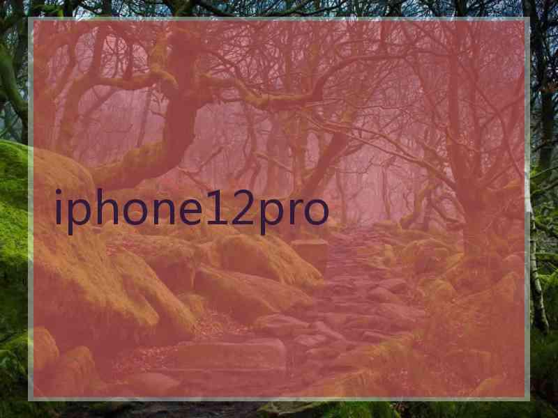 iphone12pro