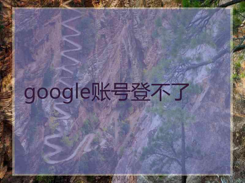 google账号登不了