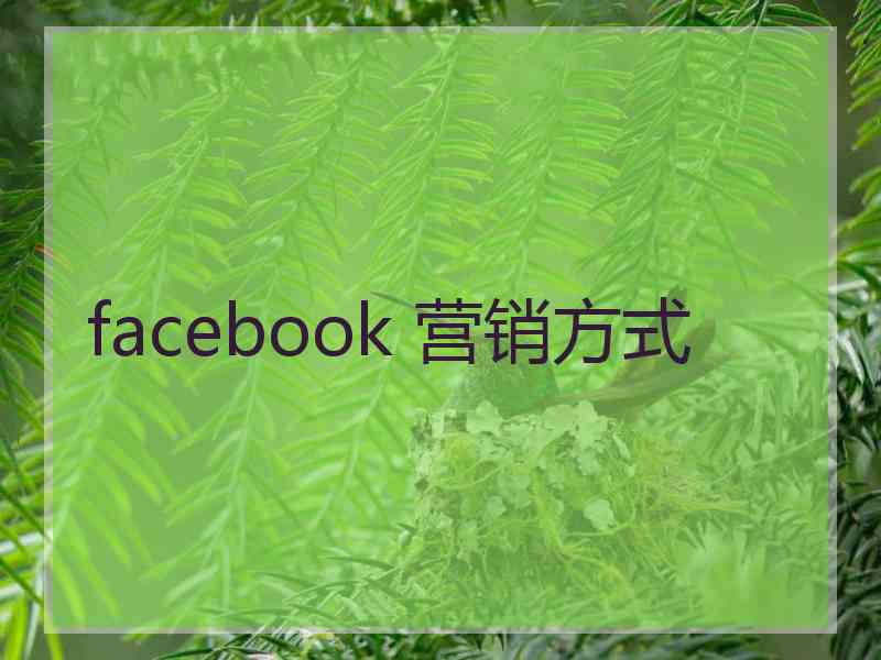 facebook 营销方式