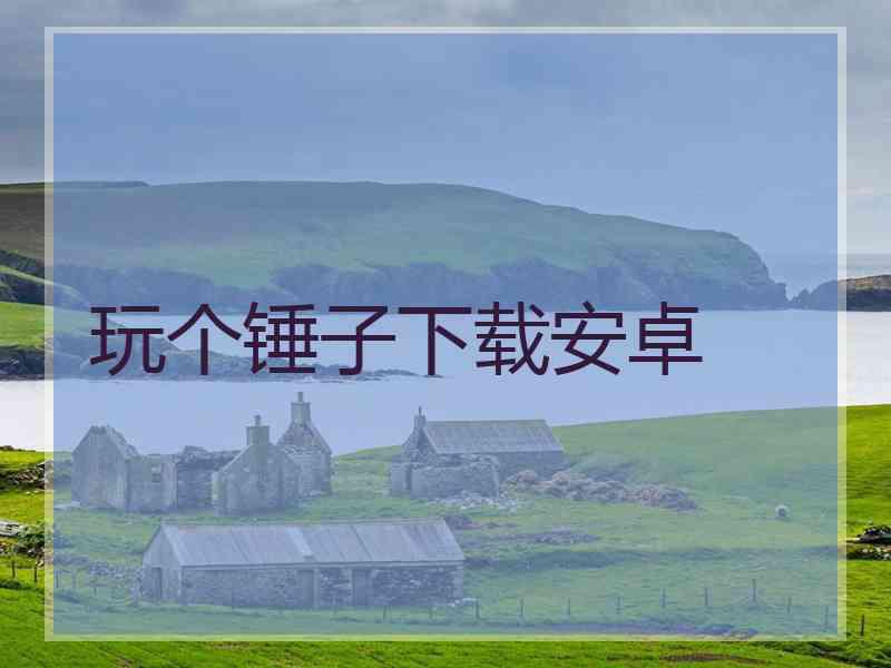 玩个锤子下载安卓