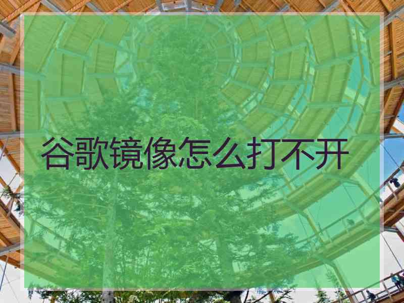 谷歌镜像怎么打不开