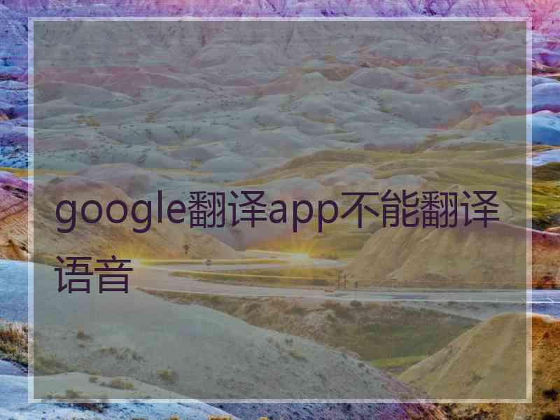 google翻译app不能翻译语音