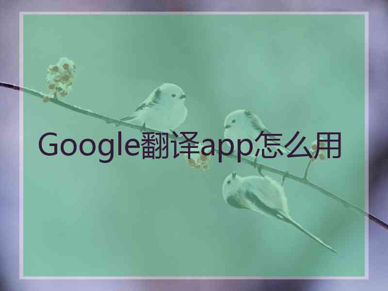 Google翻译app怎么用