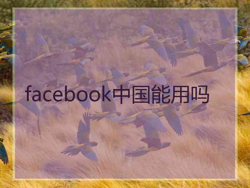 facebook中国能用吗