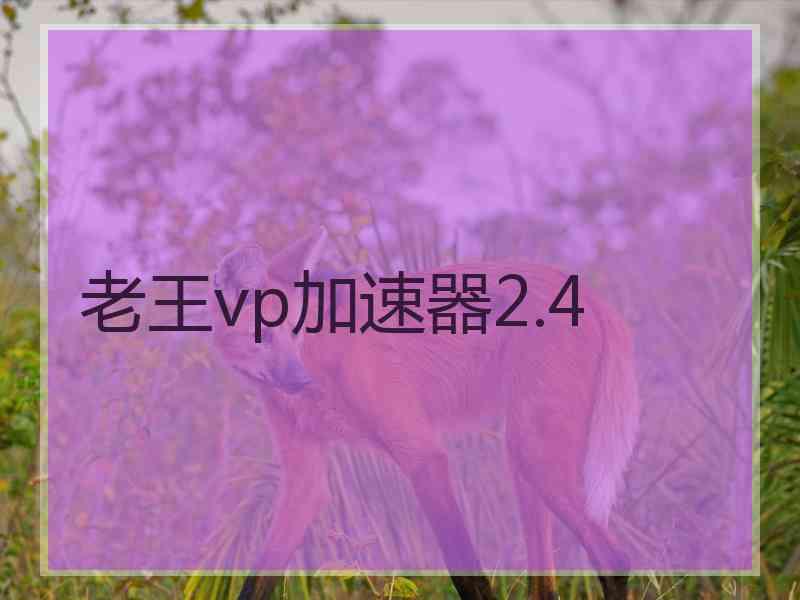 老王vp加速器2.4
