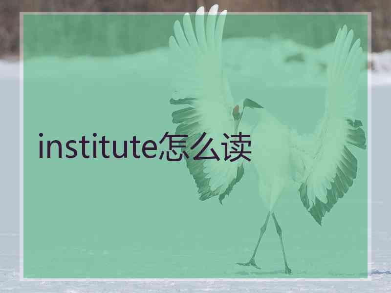 institute怎么读