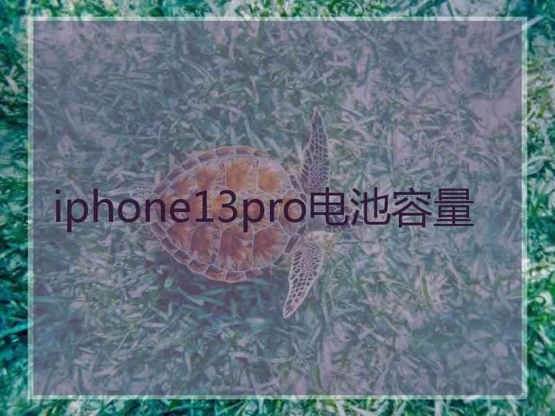 iphone13pro电池容量