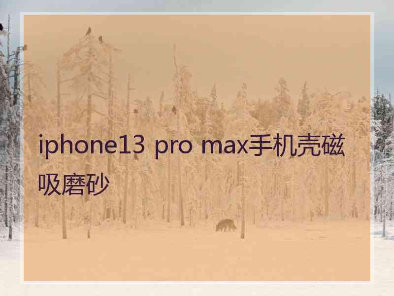 iphone13 pro max手机壳磁吸磨砂