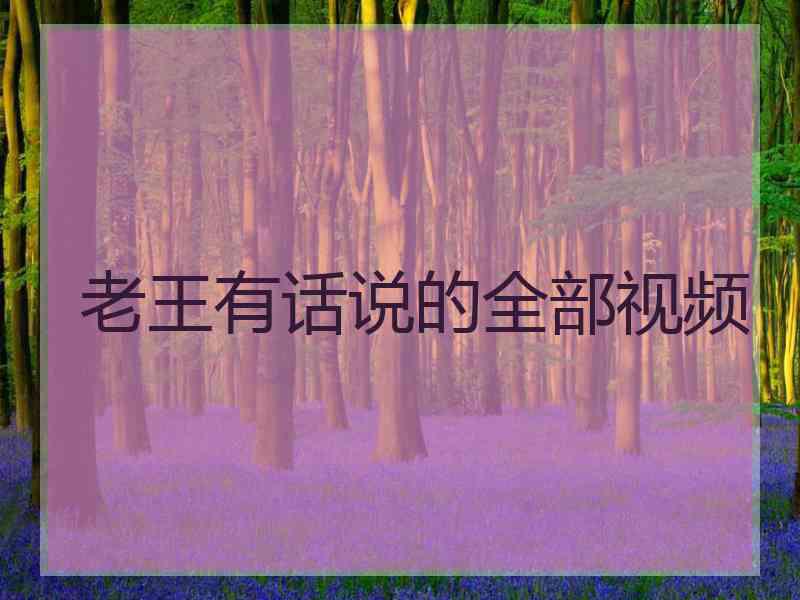 老王有话说的全部视频