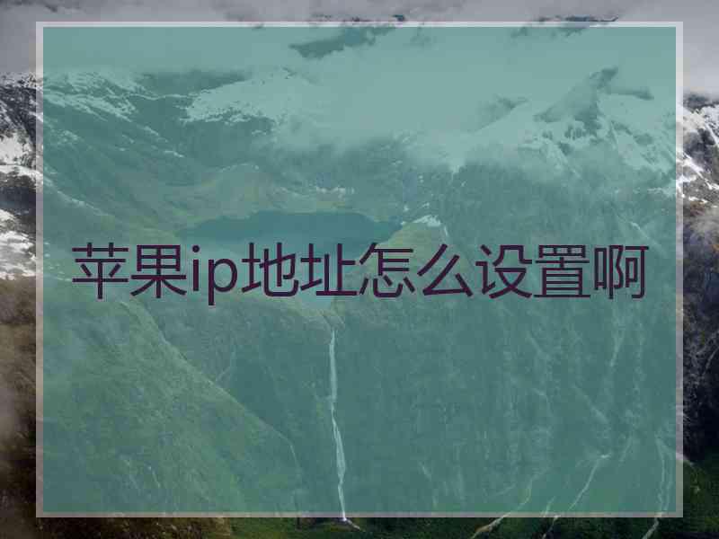 苹果ip地址怎么设置啊