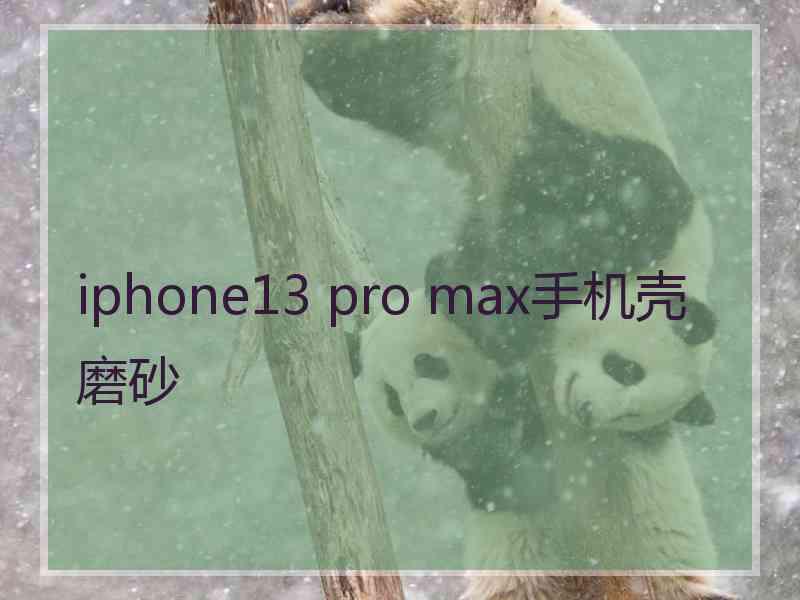iphone13 pro max手机壳磨砂