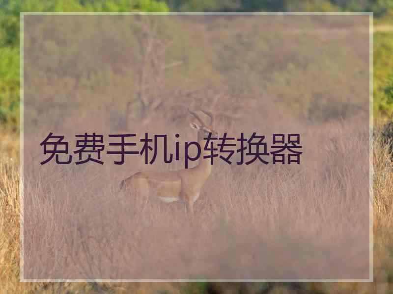 免费手机ip转换器