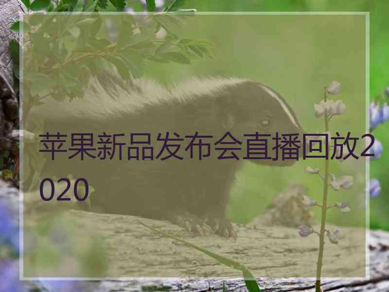 苹果新品发布会直播回放2020