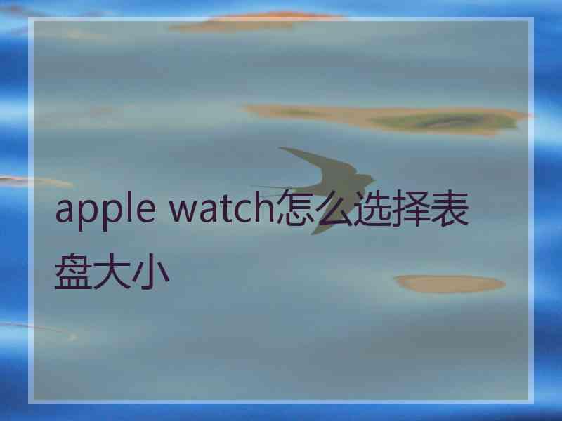 apple watch怎么选择表盘大小