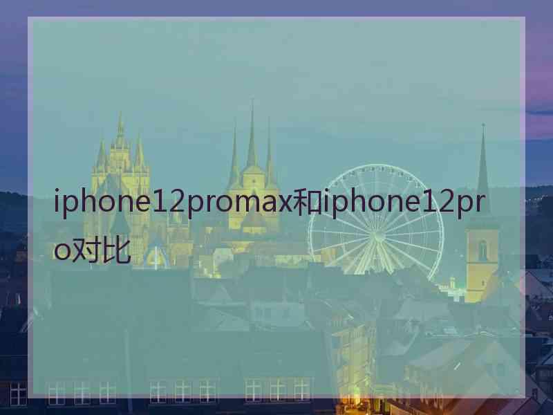 iphone12promax和iphone12pro对比