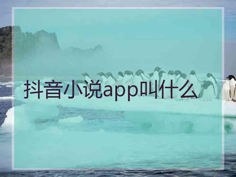 抖音小说app叫什么
