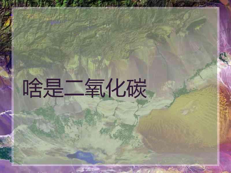 啥是二氧化碳