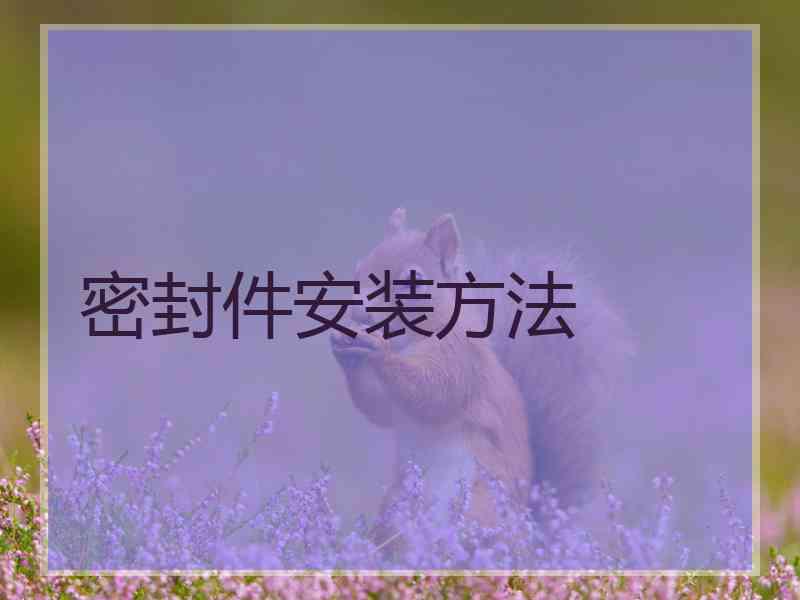 密封件安装方法