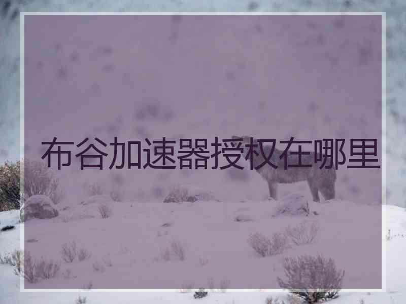 布谷加速器授权在哪里