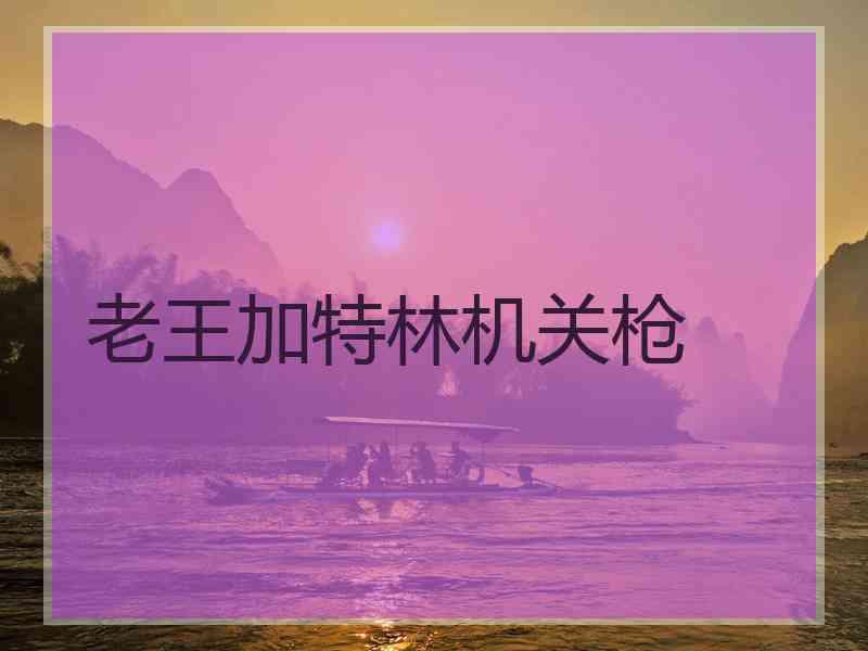 老王加特林机关枪