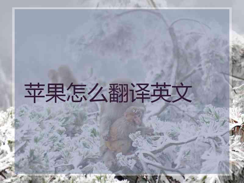 苹果怎么翻译英文