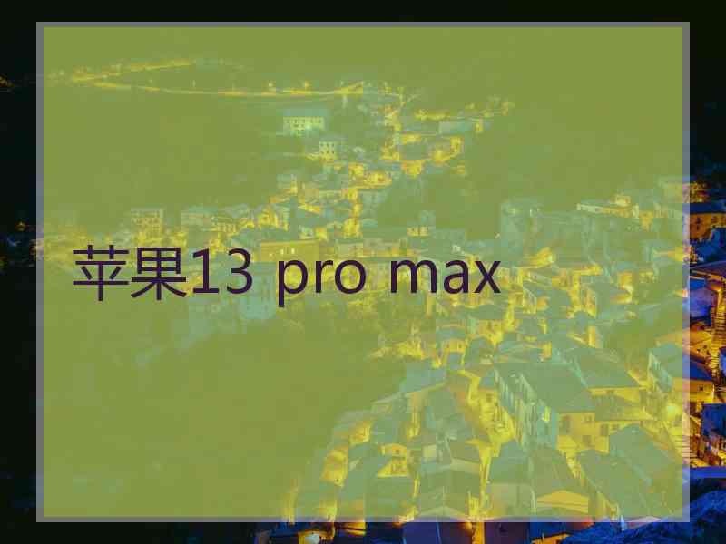 苹果13 pro max