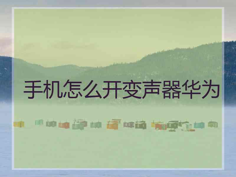 手机怎么开变声器华为