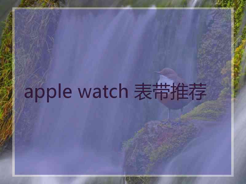 apple watch 表带推荐