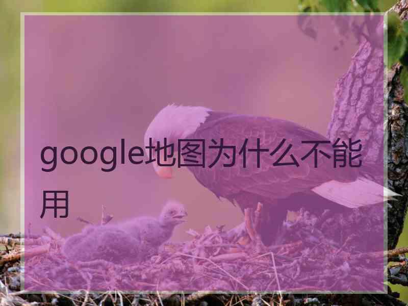 google地图为什么不能用