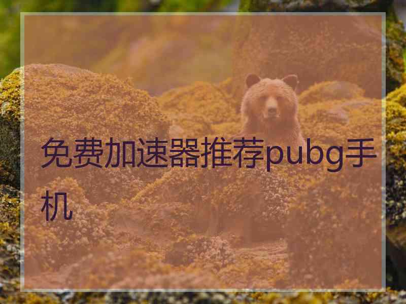 免费加速器推荐pubg手机