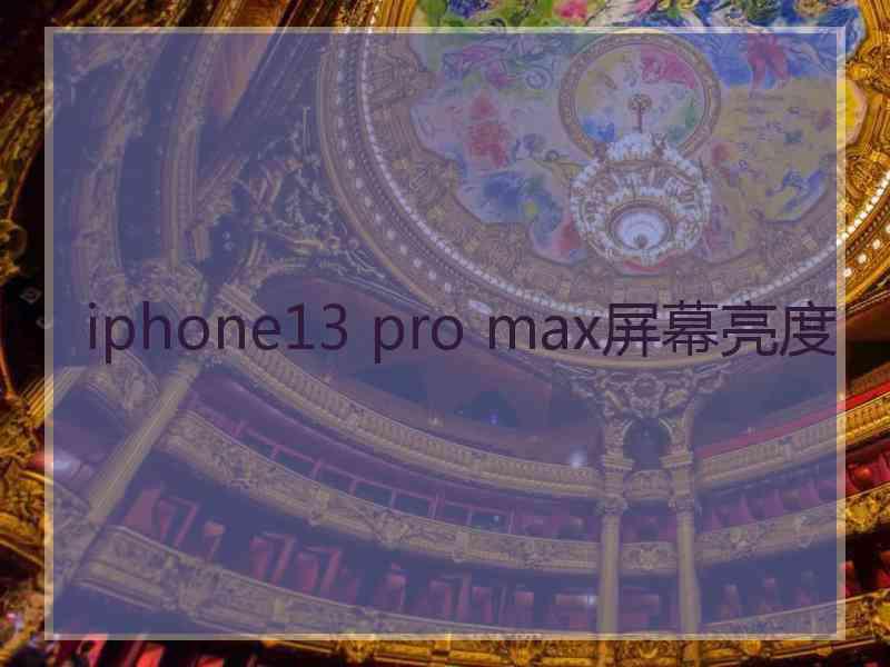 iphone13 pro max屏幕亮度