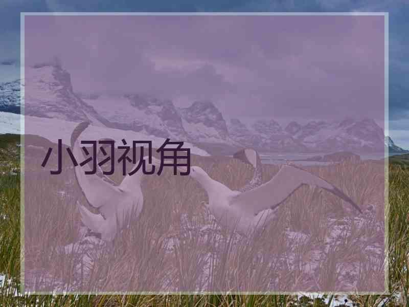 小羽视角