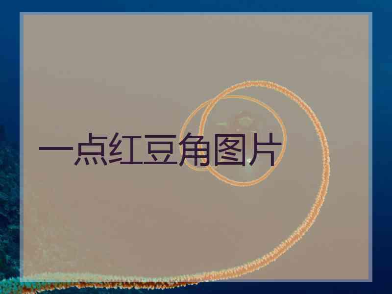一点红豆角图片