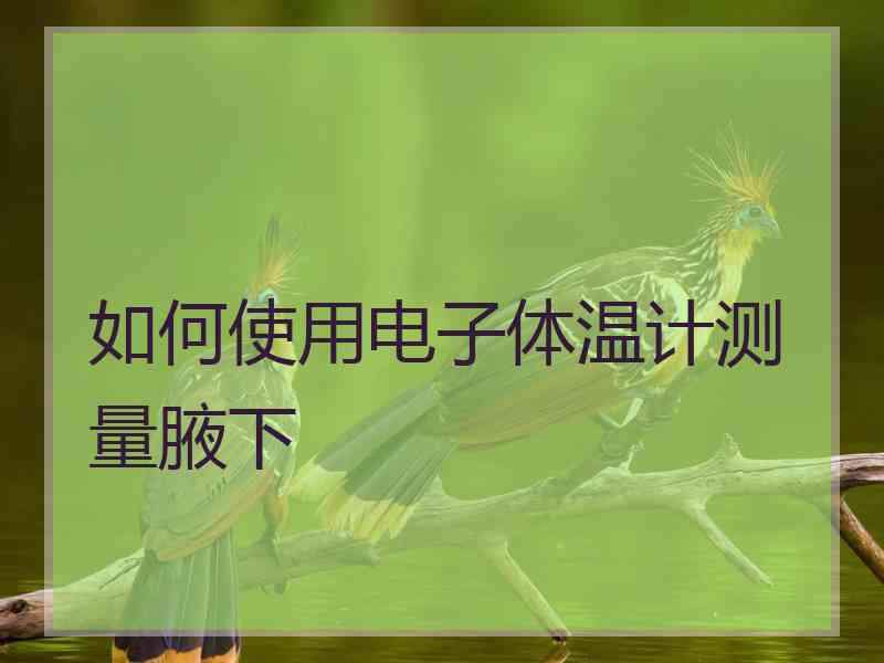 如何使用电子体温计测量腋下