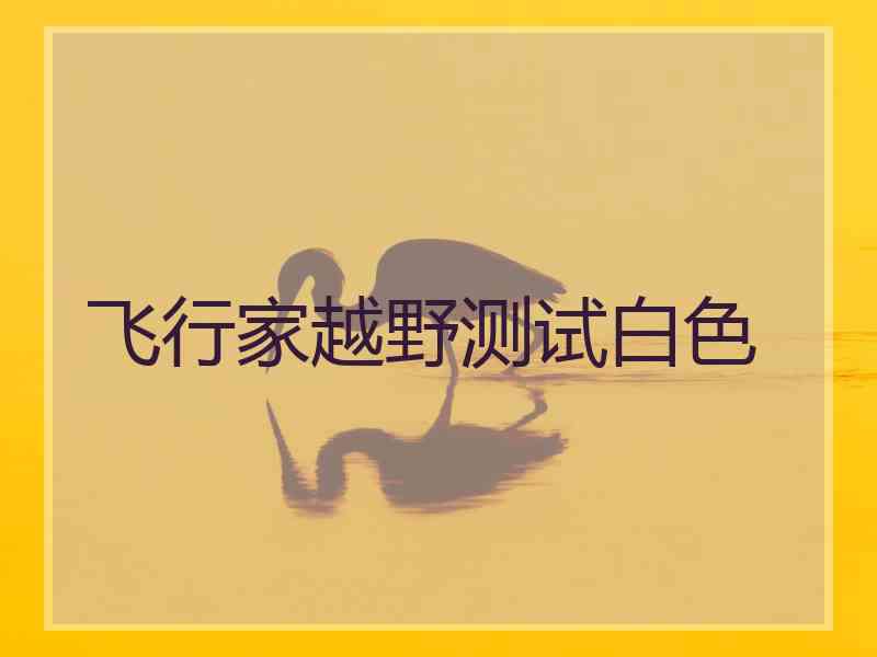 飞行家越野测试白色