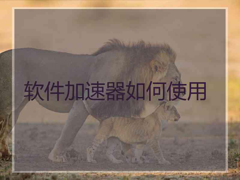 软件加速器如何使用