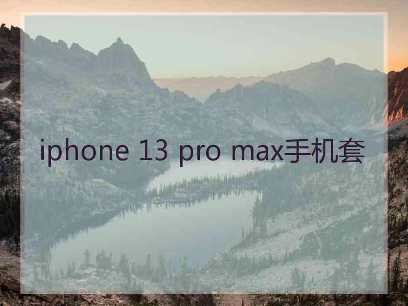 iphone 13 pro max手机套