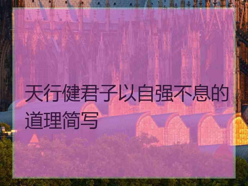 天行健君子以自强不息的道理简写