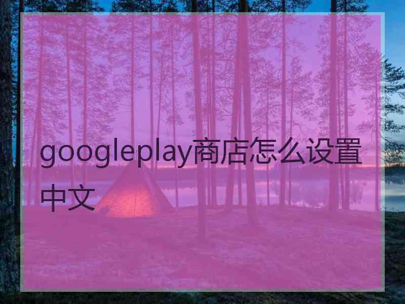googleplay商店怎么设置中文
