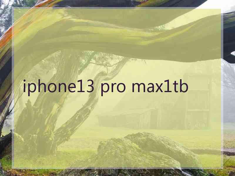 iphone13 pro max1tb