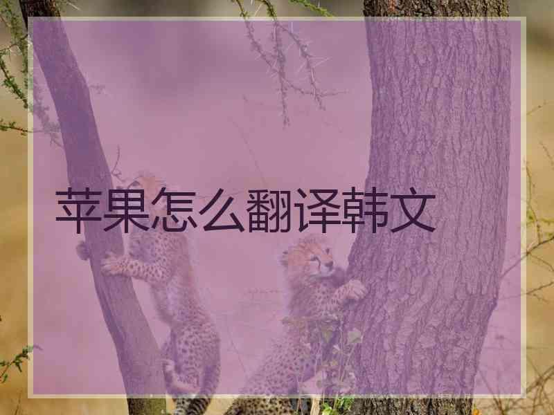 苹果怎么翻译韩文